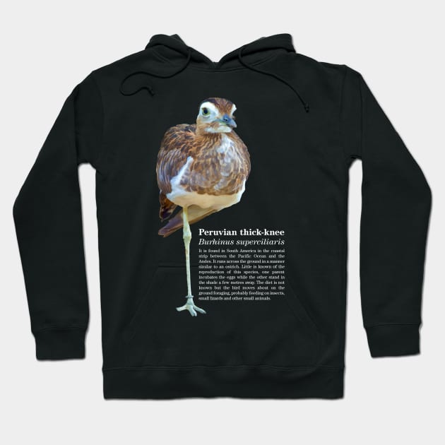 Peruvian thick-knee tropical bird white text Hoodie by Ornamentum